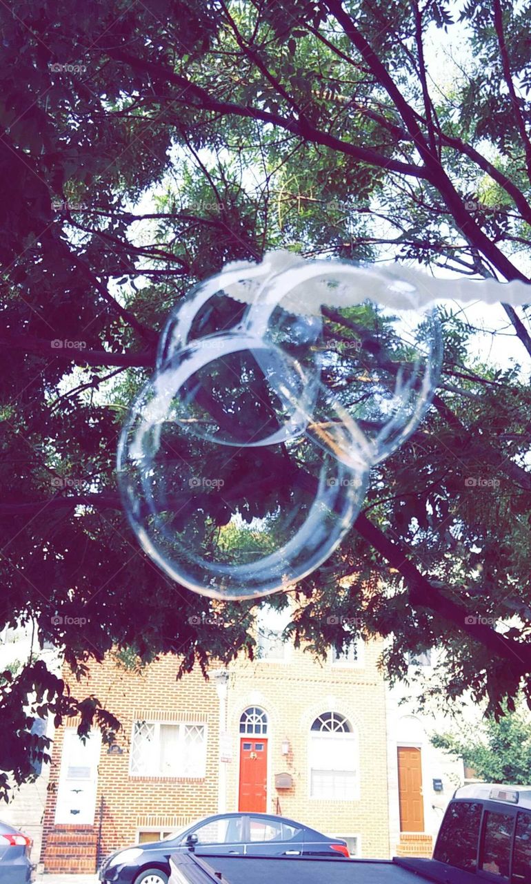 Bubbles in t