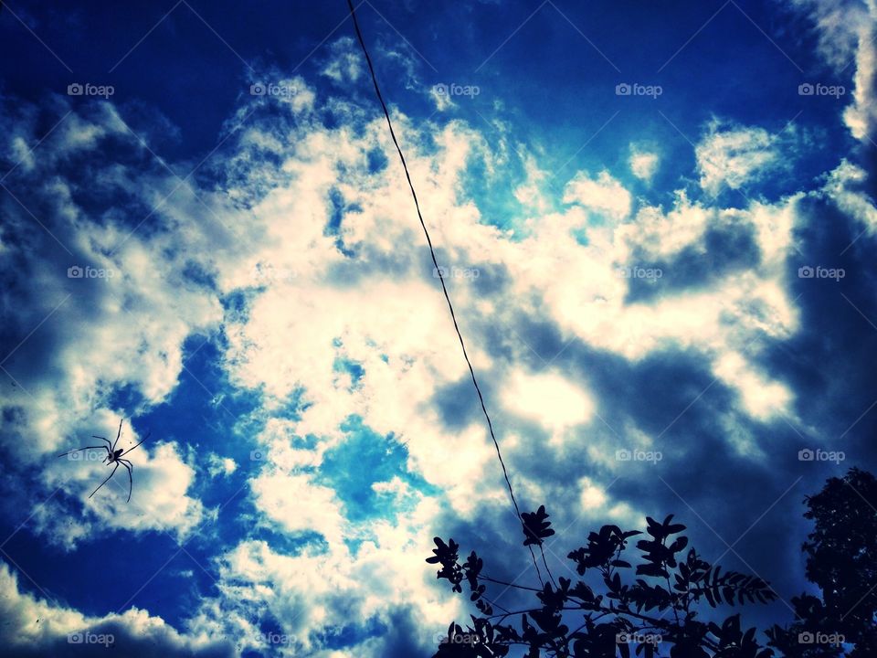 Bright sky with a spider