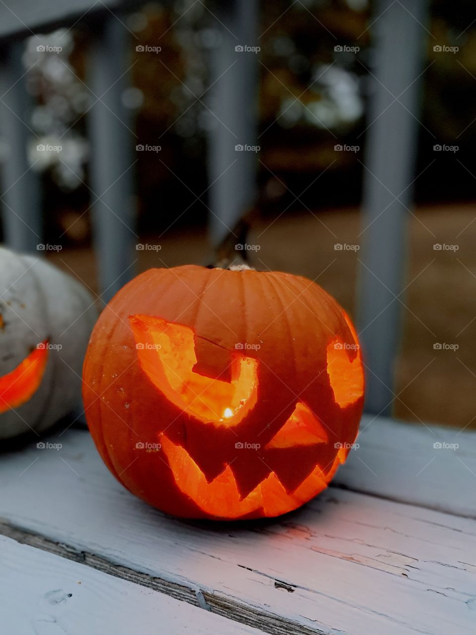 Pumpkins Are Out 🎃