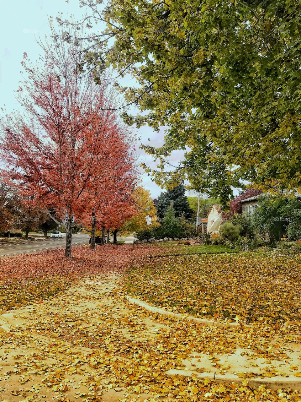 Pretty autumn 