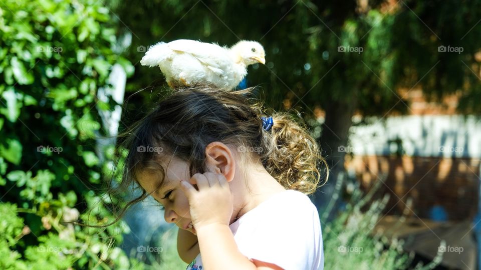 Chick on the head