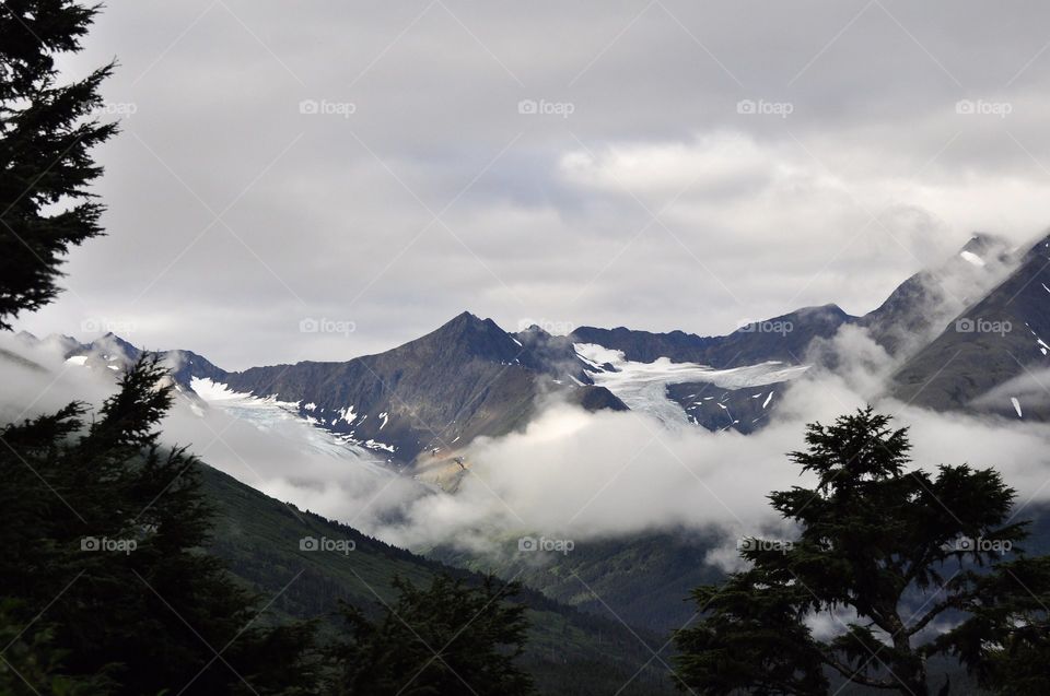 Foggy Alaska