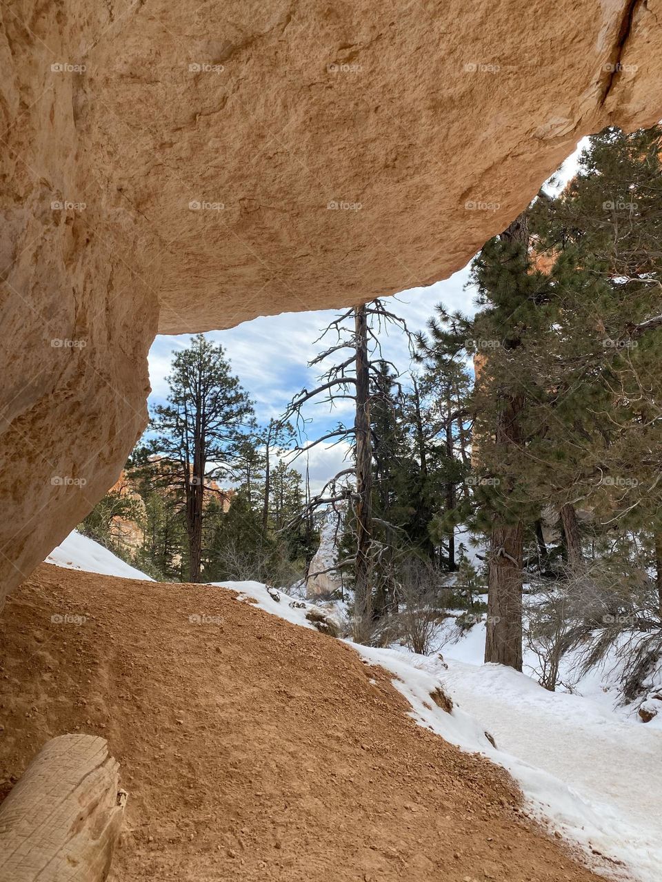 Bryce Canyon Winter