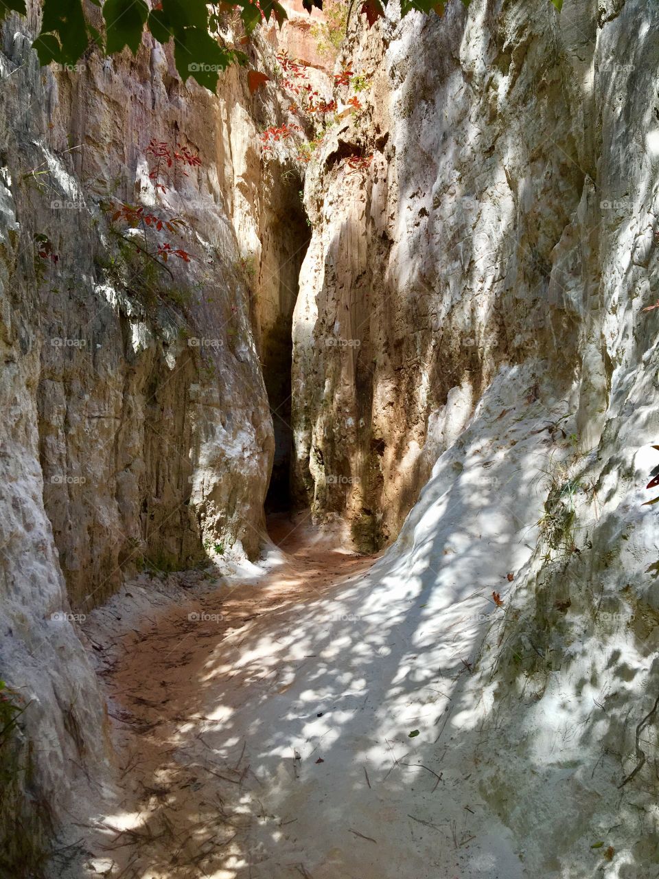 Providence Canyon Conservation, Georgia 