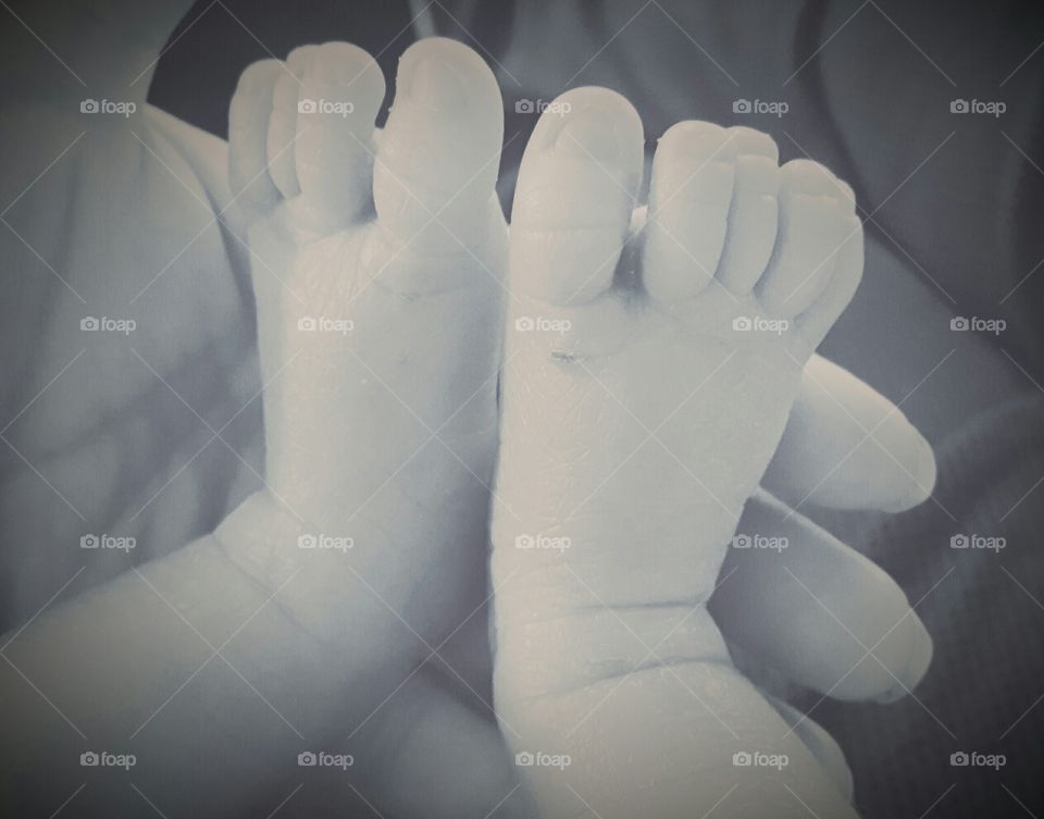 New Born Feet