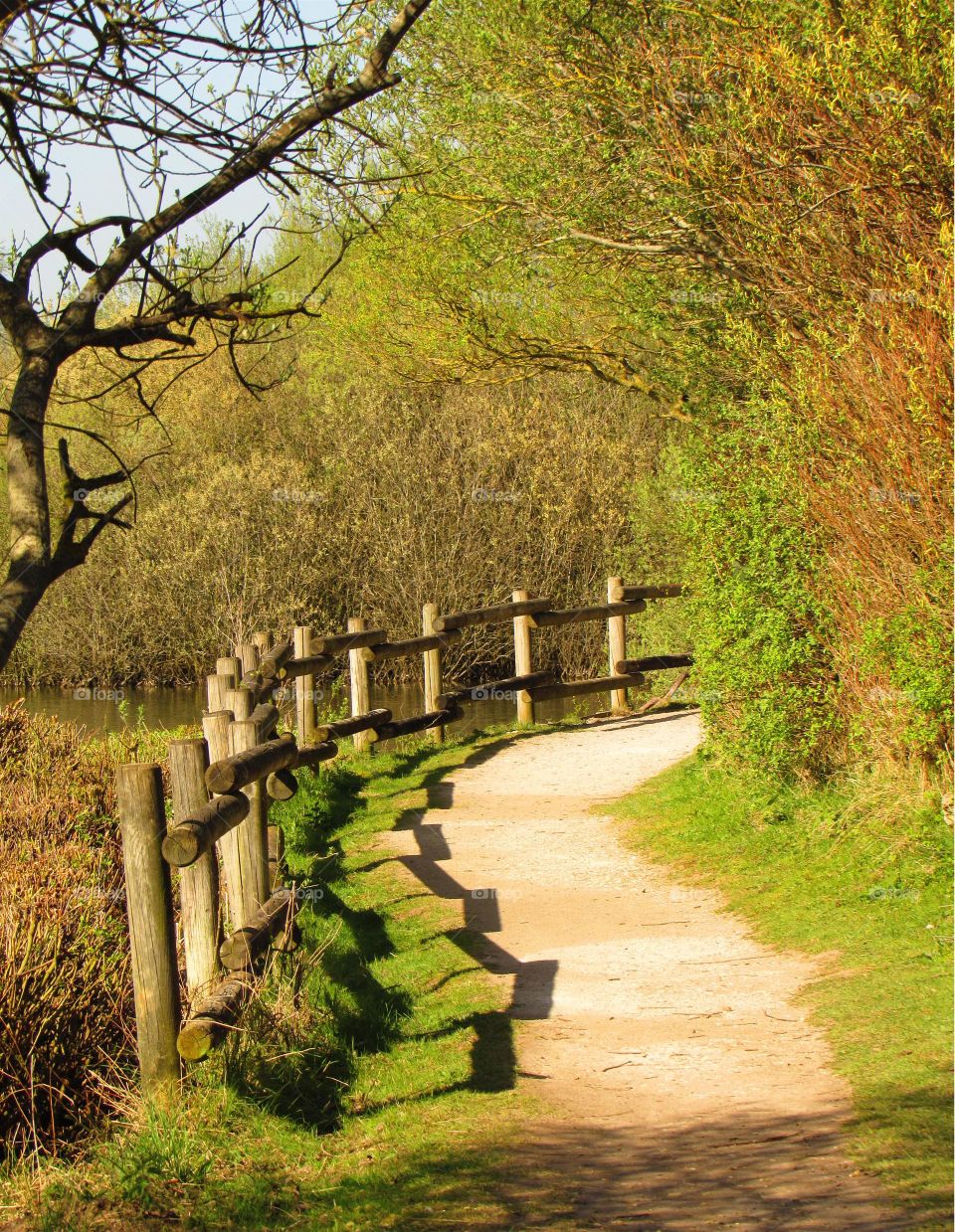 View of empty footpath