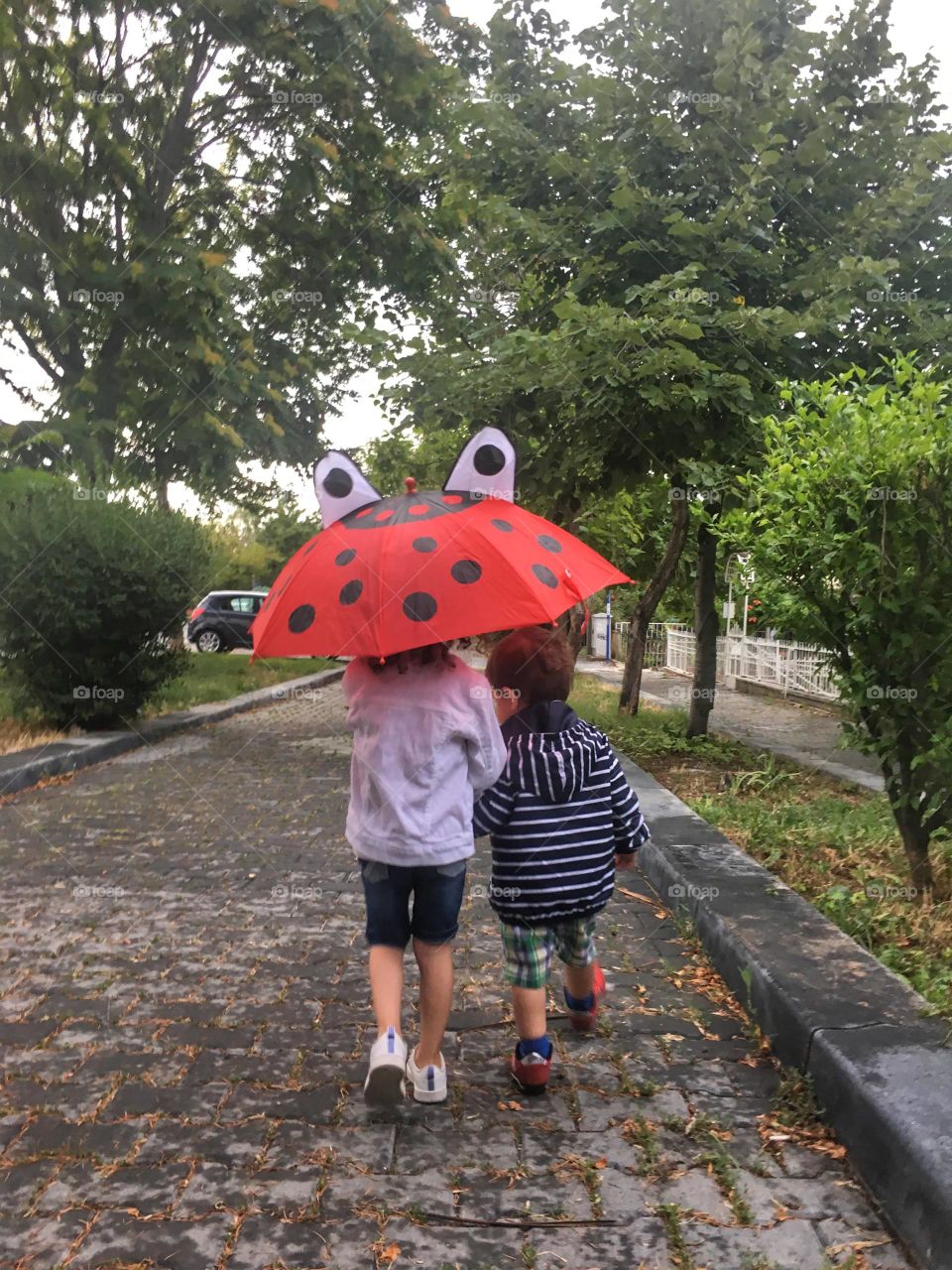 Walking under the same umbrella