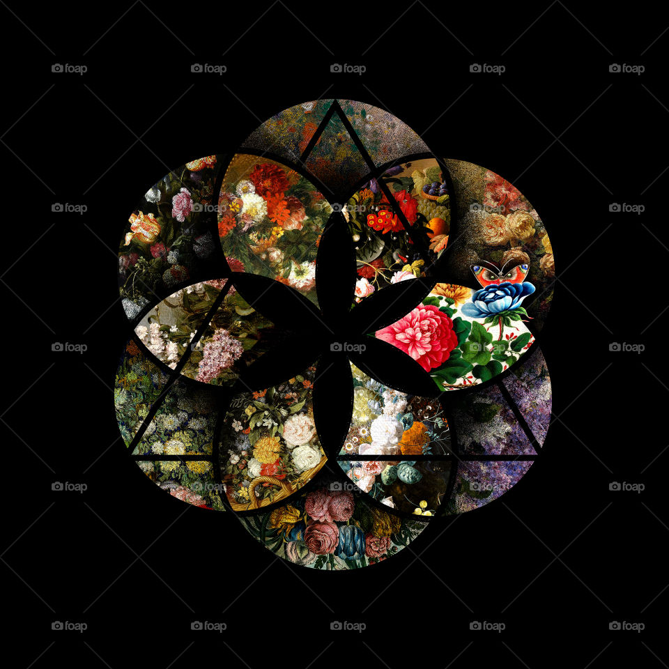 CIRCULOS CON FLORES DE FONDO