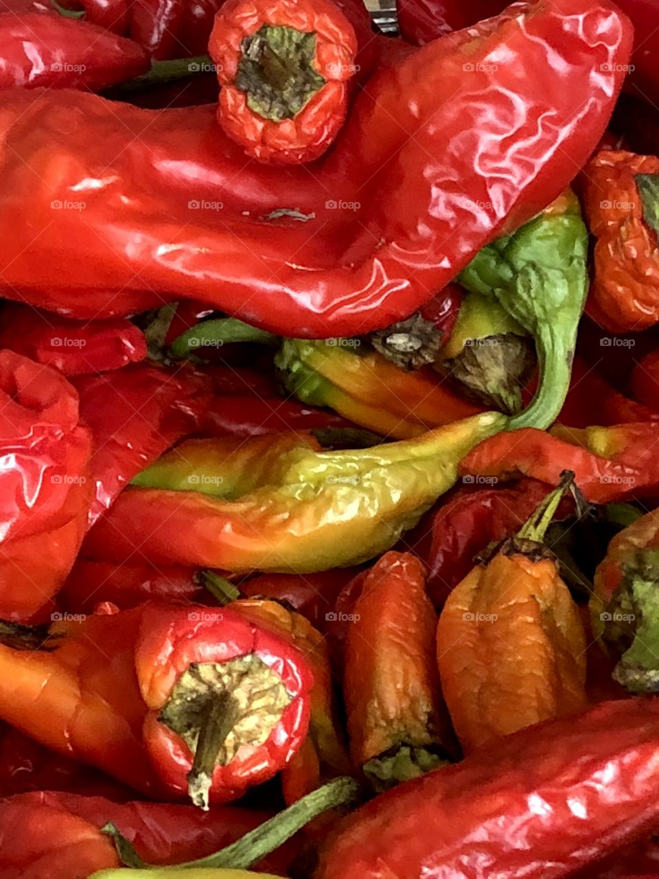Colorado chili peppers