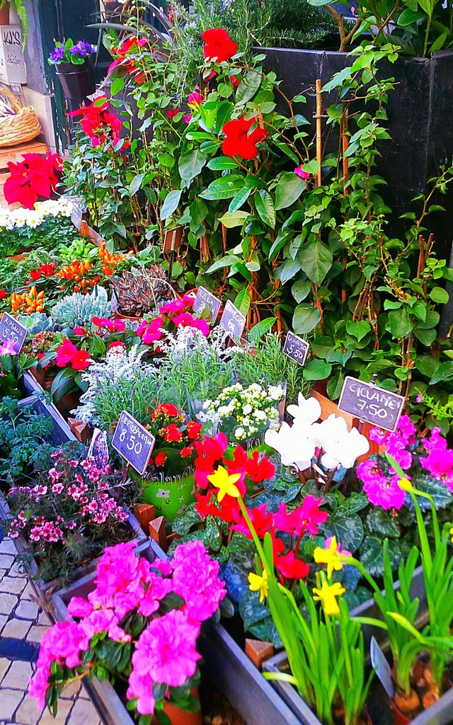 Flower shop