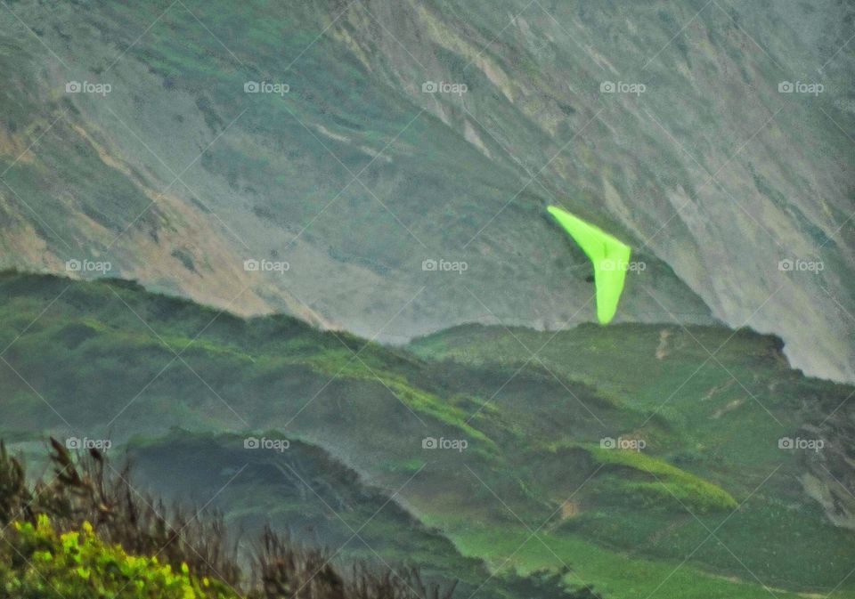 Soaring Over Green Cliffs