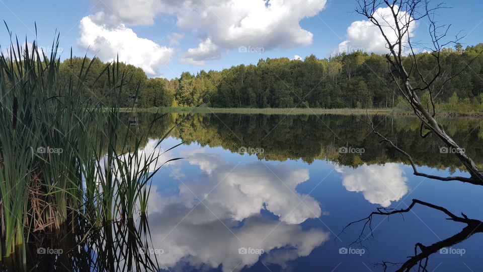 Reflection of clouds at lake