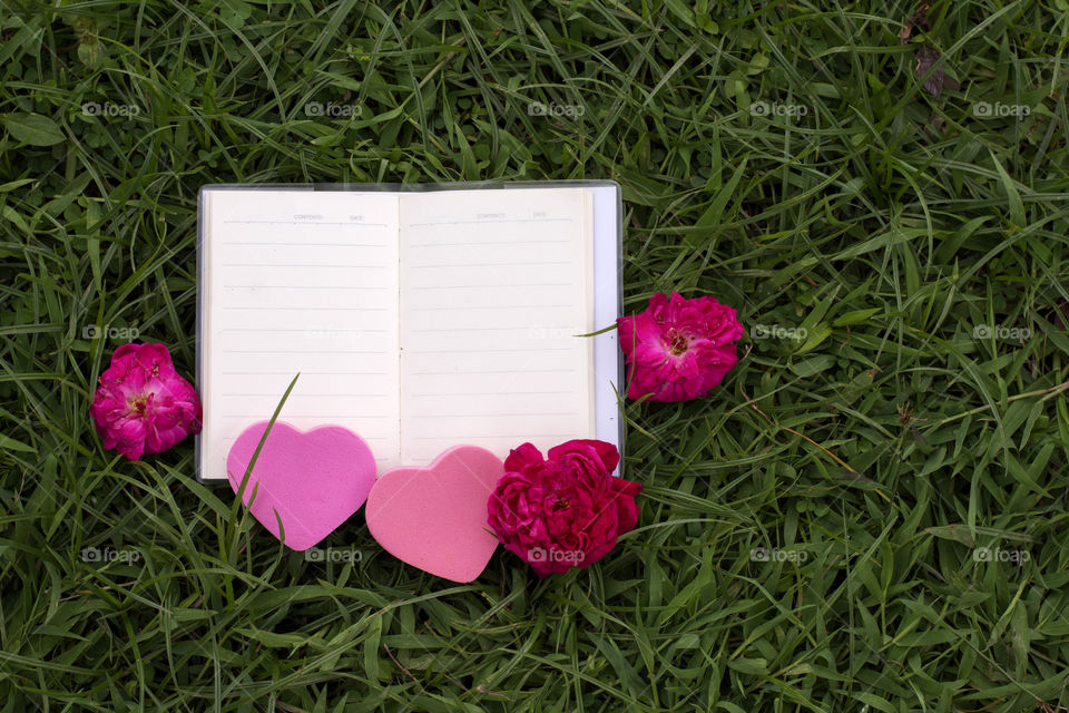 natural book and flower