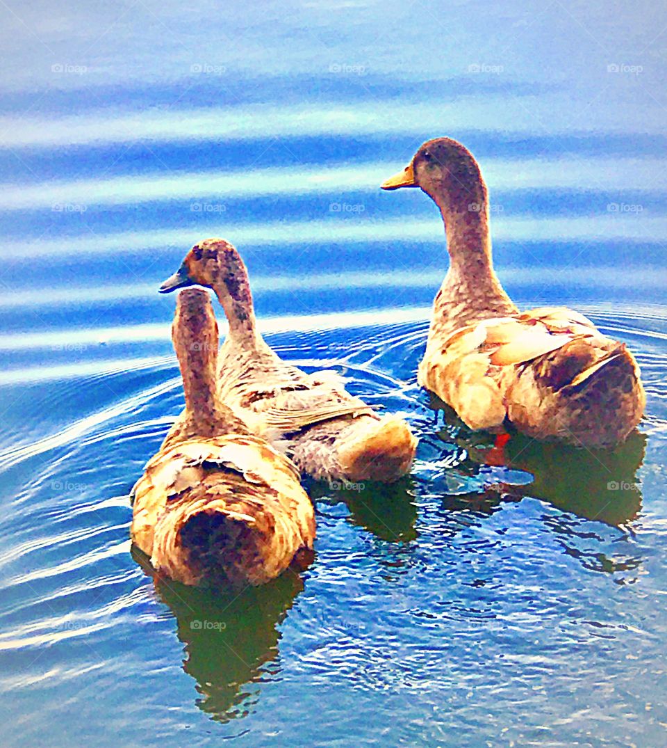 Mkae ripples of kindness