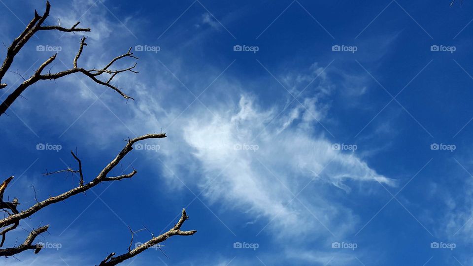 I enjoy taking pictures of clouds because they are ever changing.