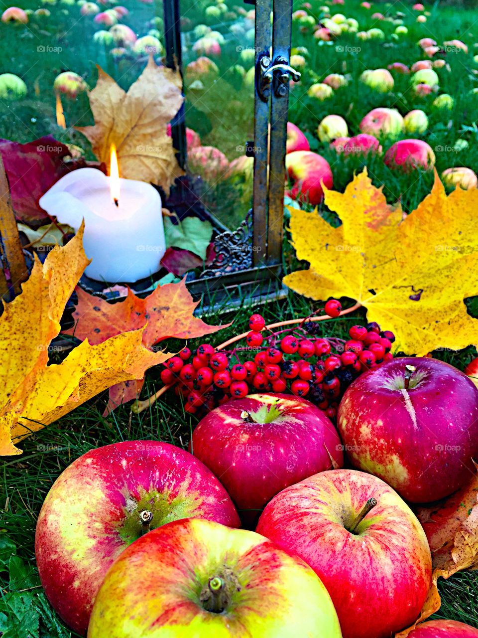 Rowanberry and apples!