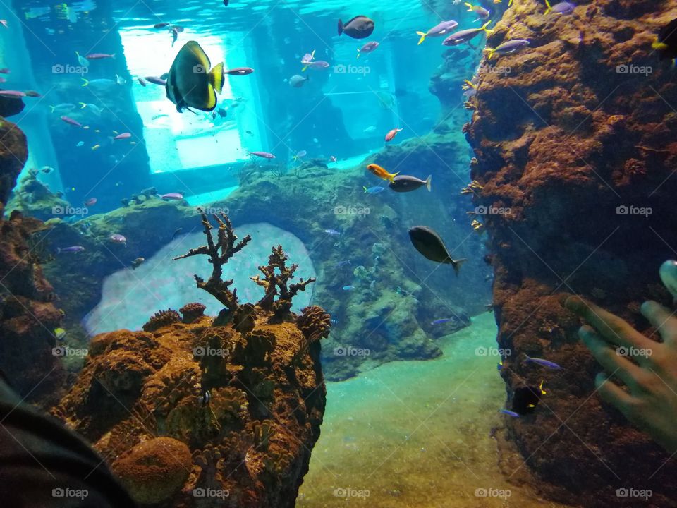 We can see beauty when we really want it. I have this and I see this wonderful underwater world ❤️💧🐳🐬❤️