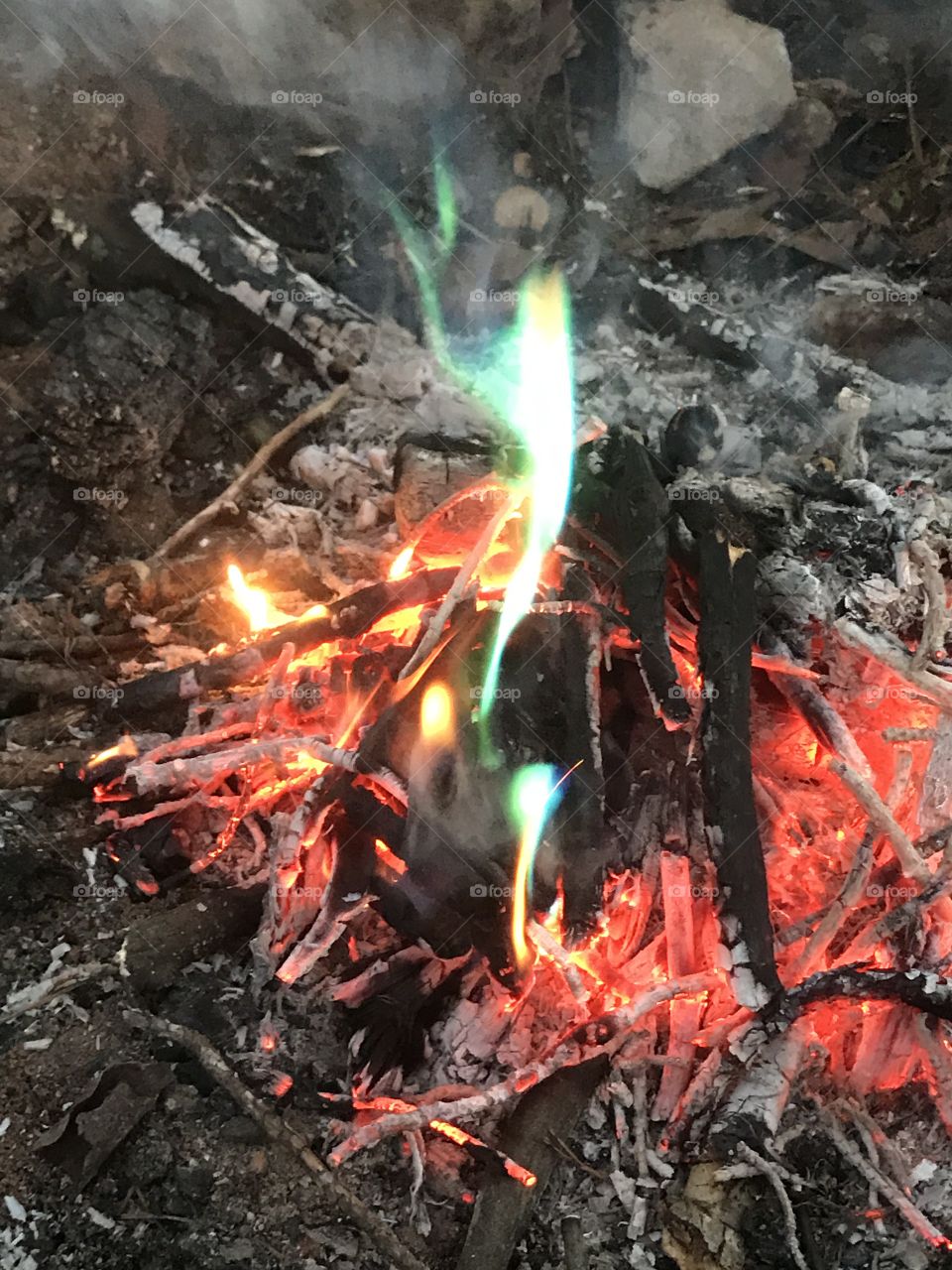 Close-up of a bonfire