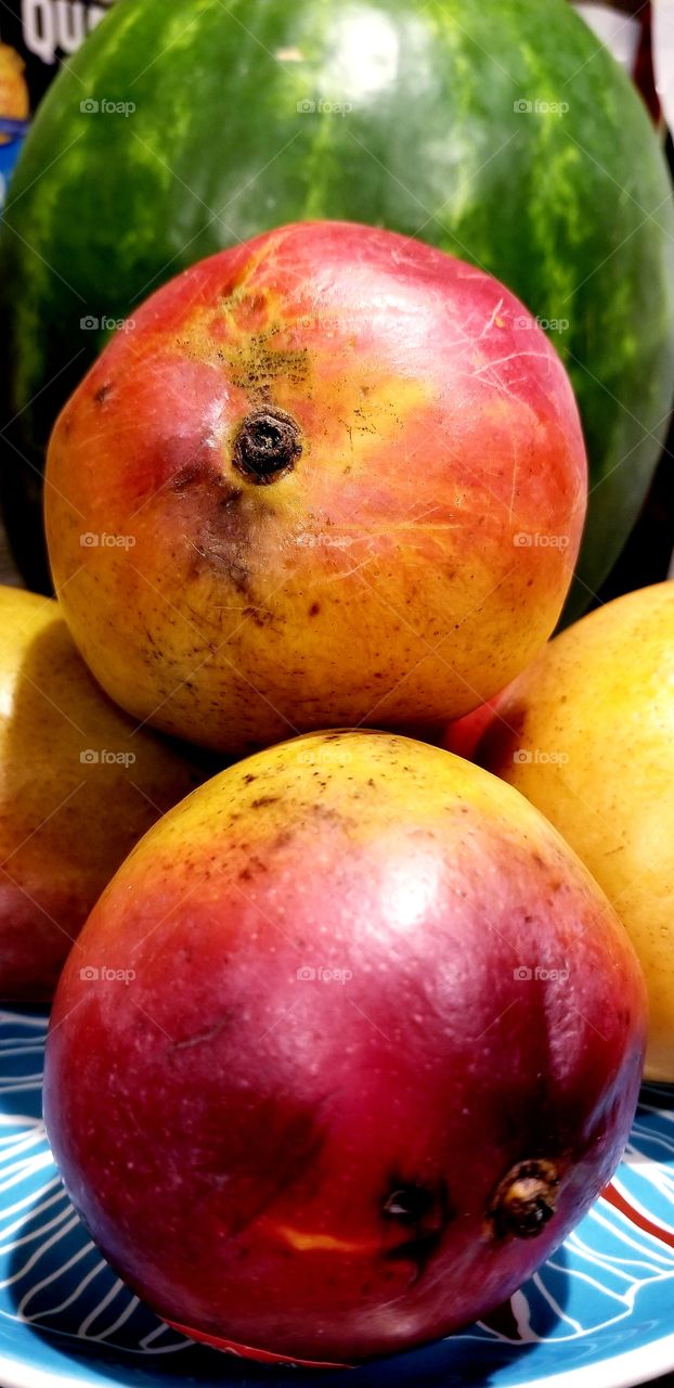 Fruits mango and watermelon