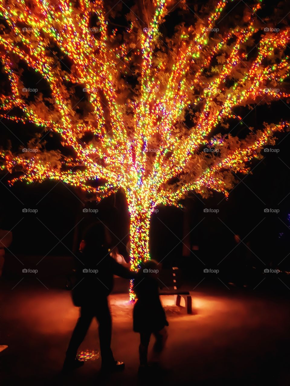 Tree lights at the zoo