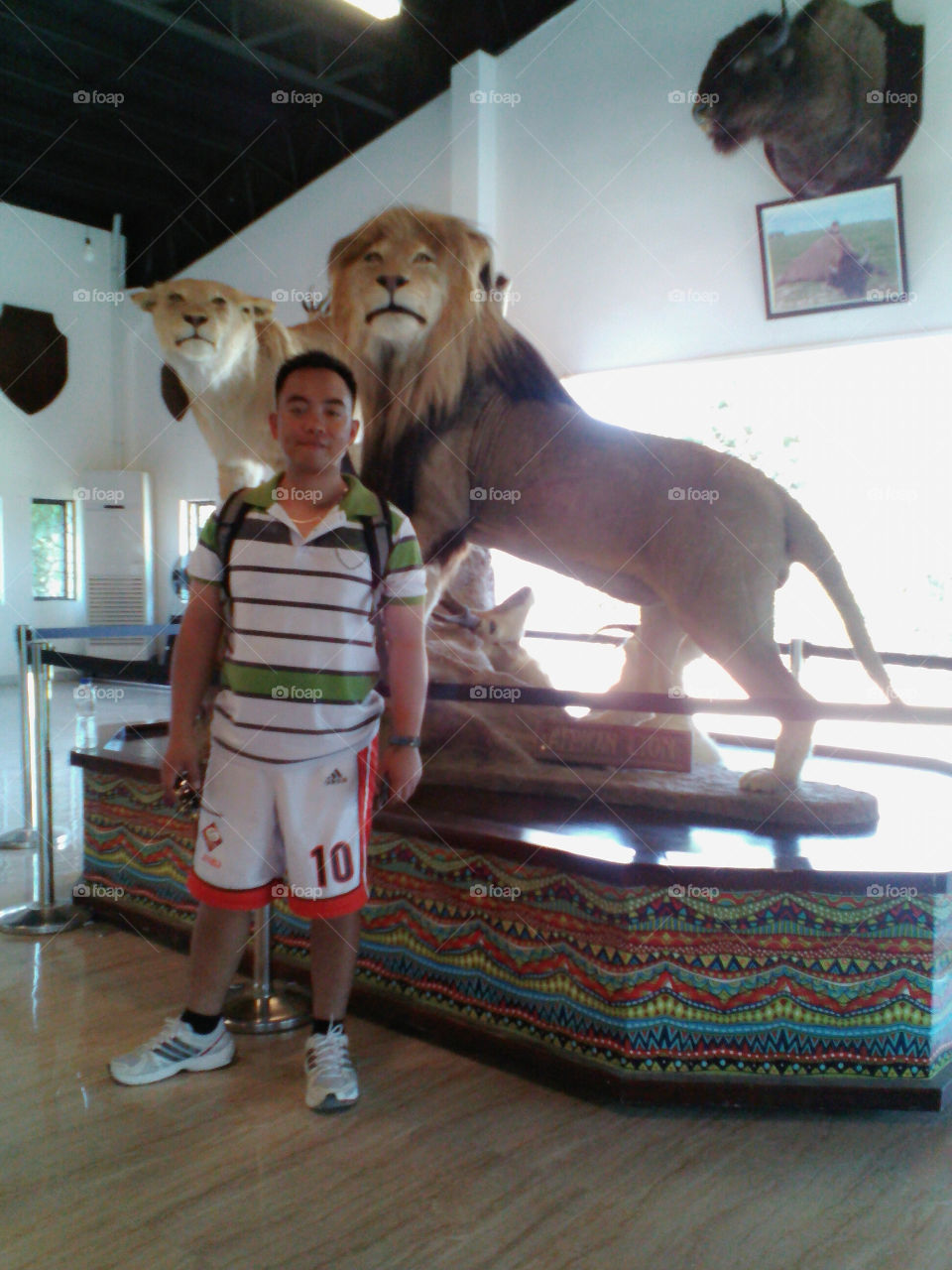 at the baluarte zoo , vigan ilocos sur, Philippines.