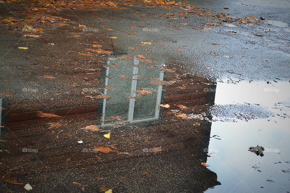 Reflection of window in water