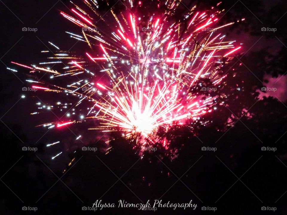 Fourth of July Fireworks ring out over the tree tops. Beautiful pink and orange streaks adorn the skies.