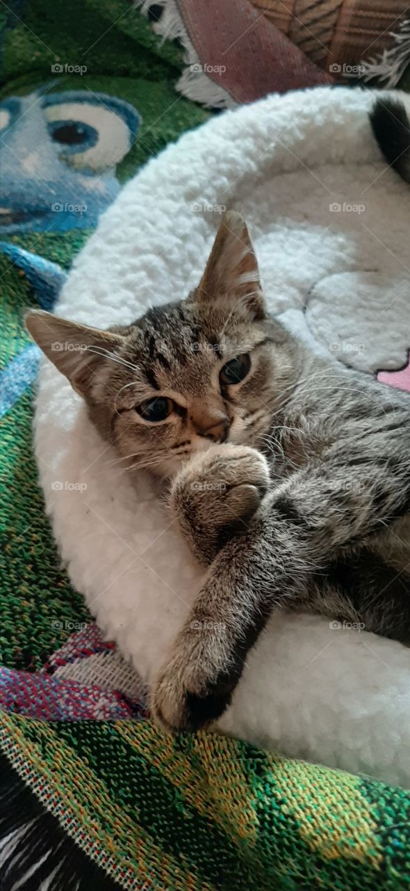 А   можно,  я   подумаю!