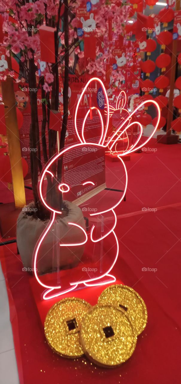 Rabbit in many areas of the world, a part of daily life—as food, clothing, a companion, and a source of artistic inspiration. And this year Chinese Horoscope is Year of the Rabbit - represents peaceful and patient energy.