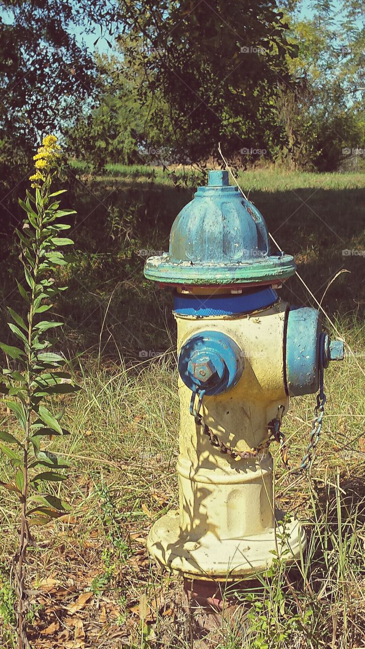 vintage fire hydrant