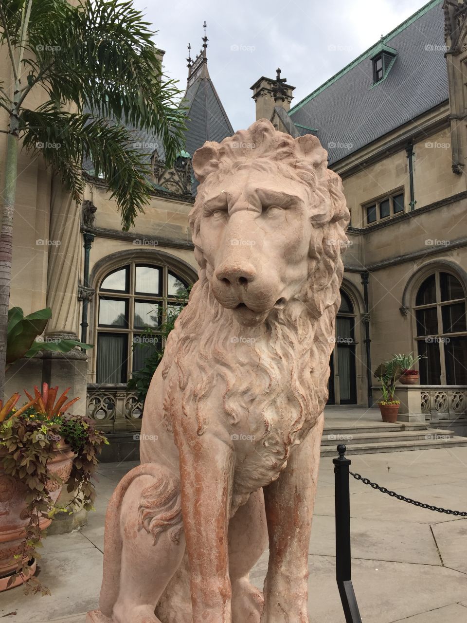 Biltmore House Lion Statue