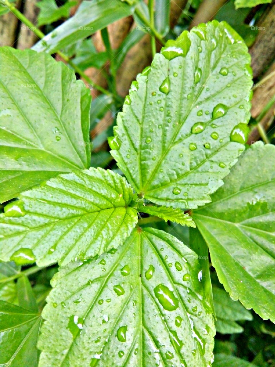 capture this with love💕