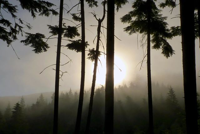 mountains sunrise