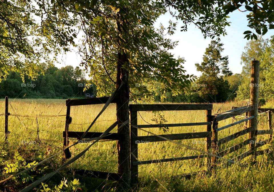 On the countryside