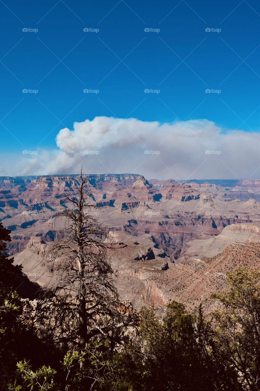 smoke coming from Grand Canyon in the summer of 2018