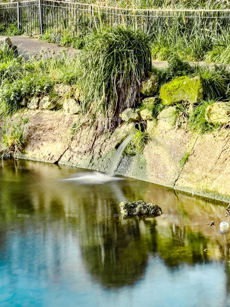 Tranquil pond with water flowing. Surrounded by greenery