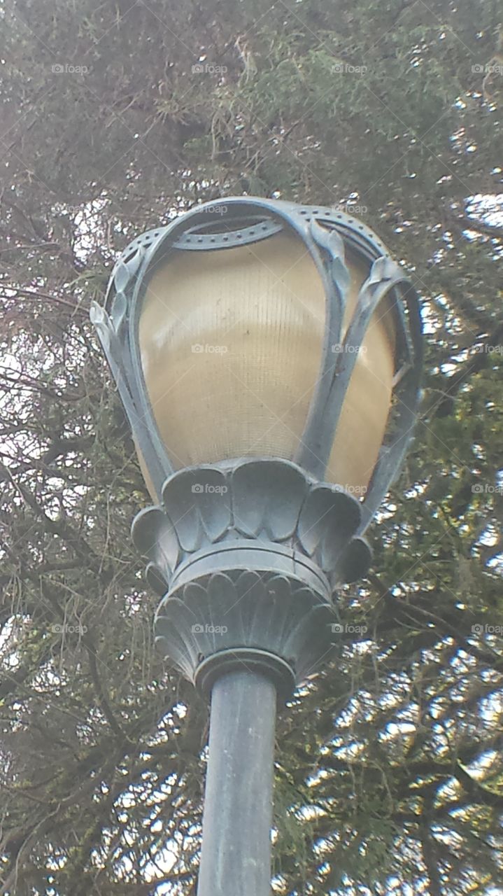 lamp