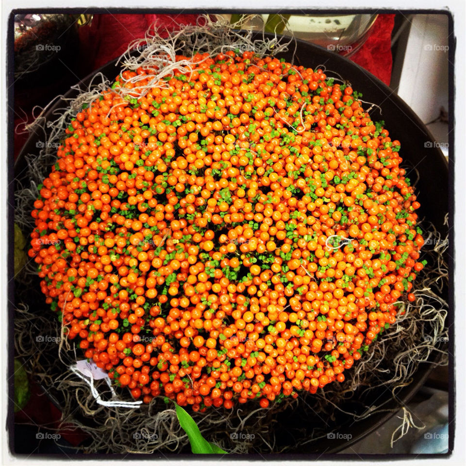 calvi berries shopping arrangement by wittleme