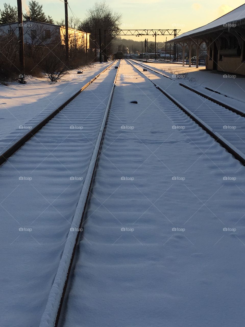 Train tracks in the morning light