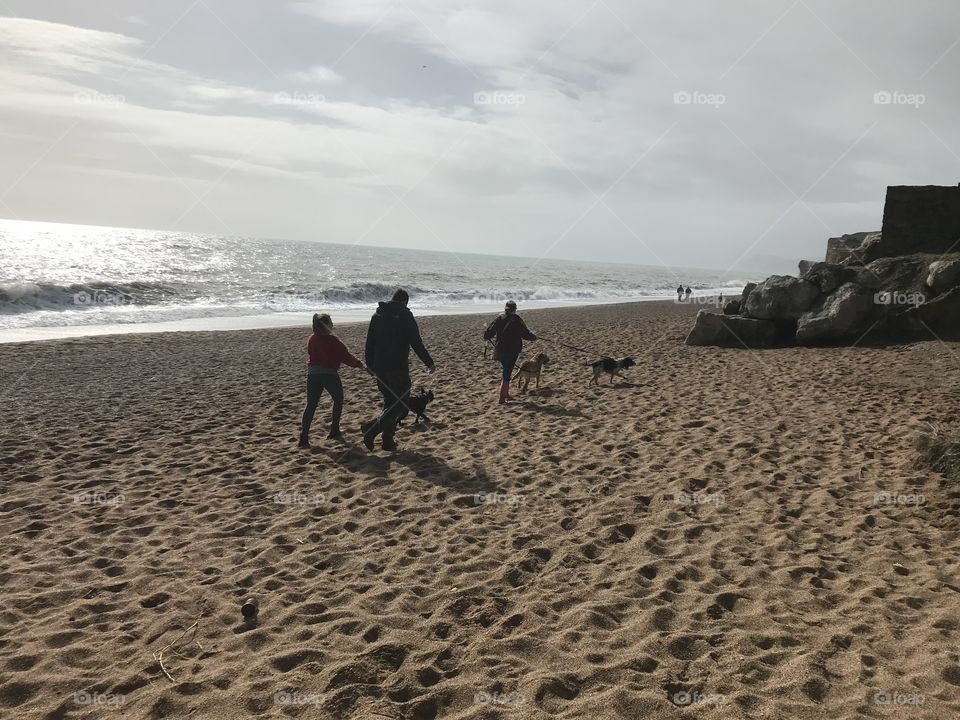 Dog walkers get into line quite literally haha and they have a magical place to walk their pets.