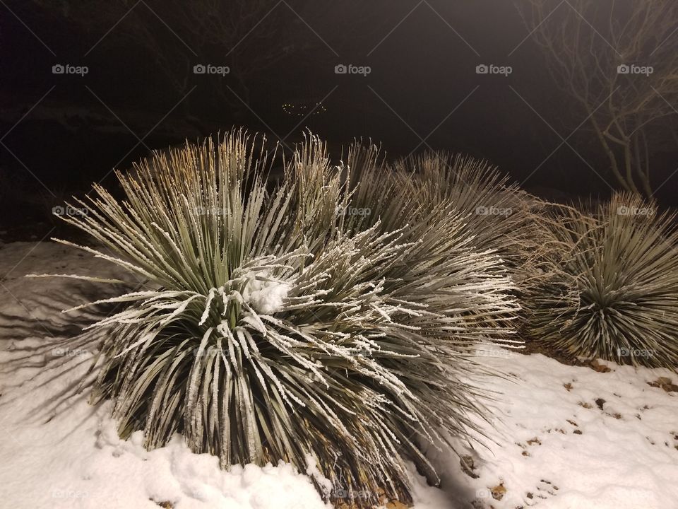 Snow in Las Vegas, NV. USA