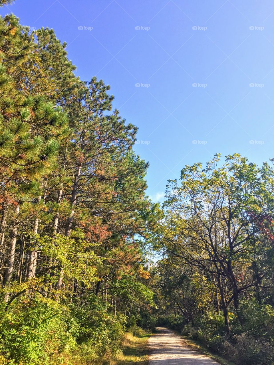 Hiking in Indiana 