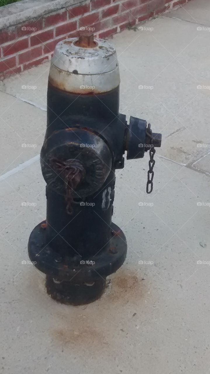 Black Fire Hydrant