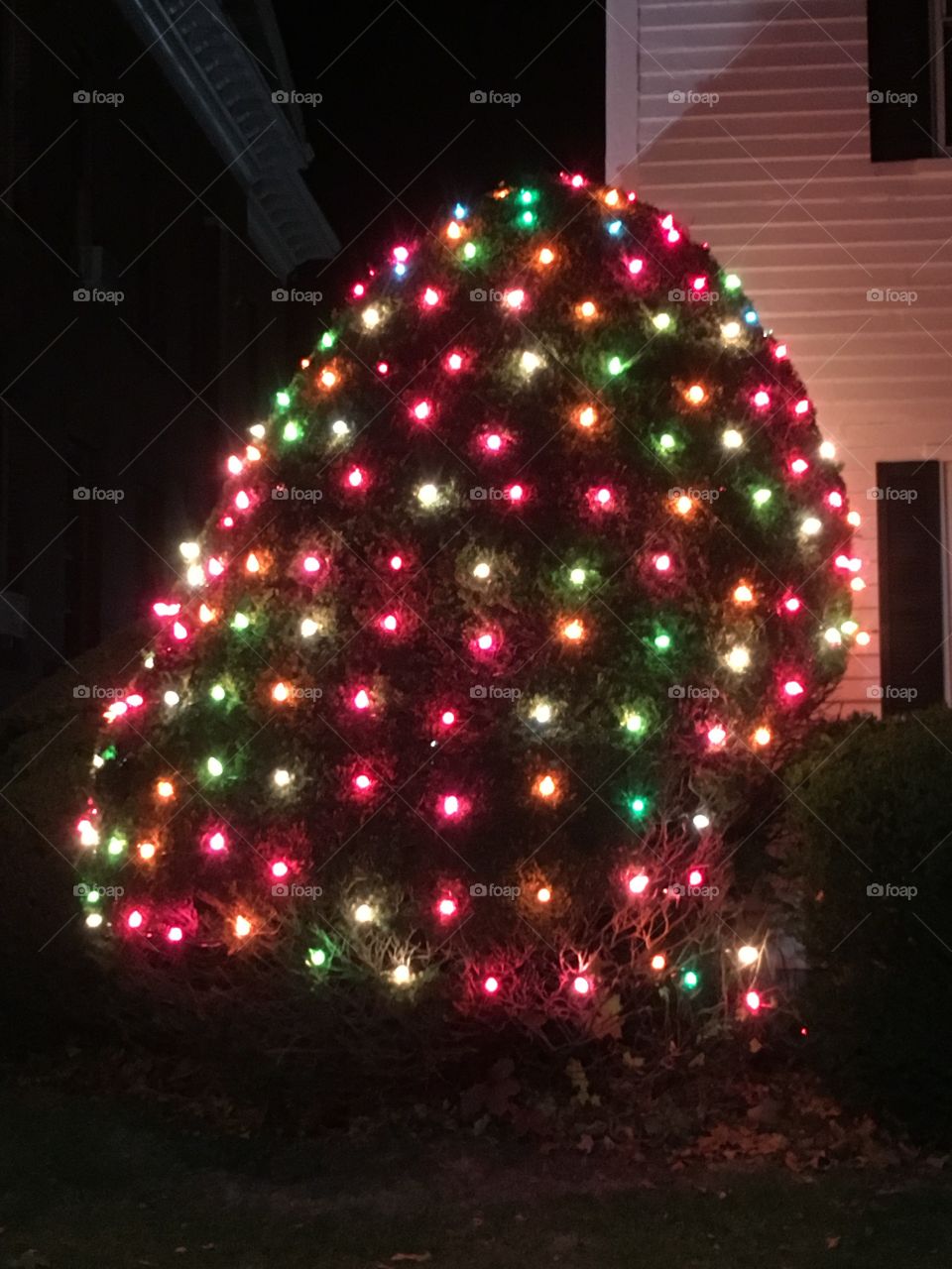 Christmas tree lights 