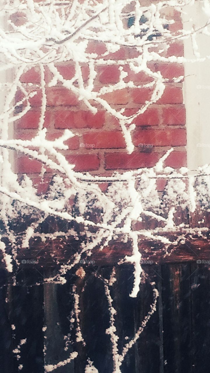 Snow and Brick
