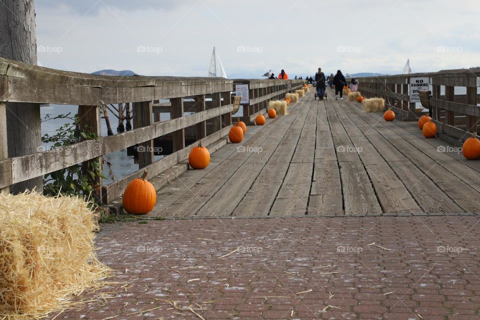 Dock in October 