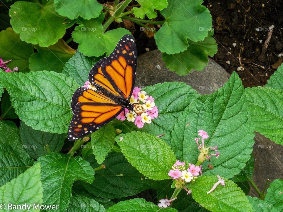 Rodger Williams Park Zoo
Providence RI