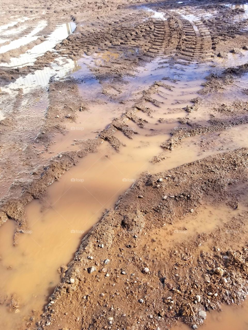 Tire tracks in mud.