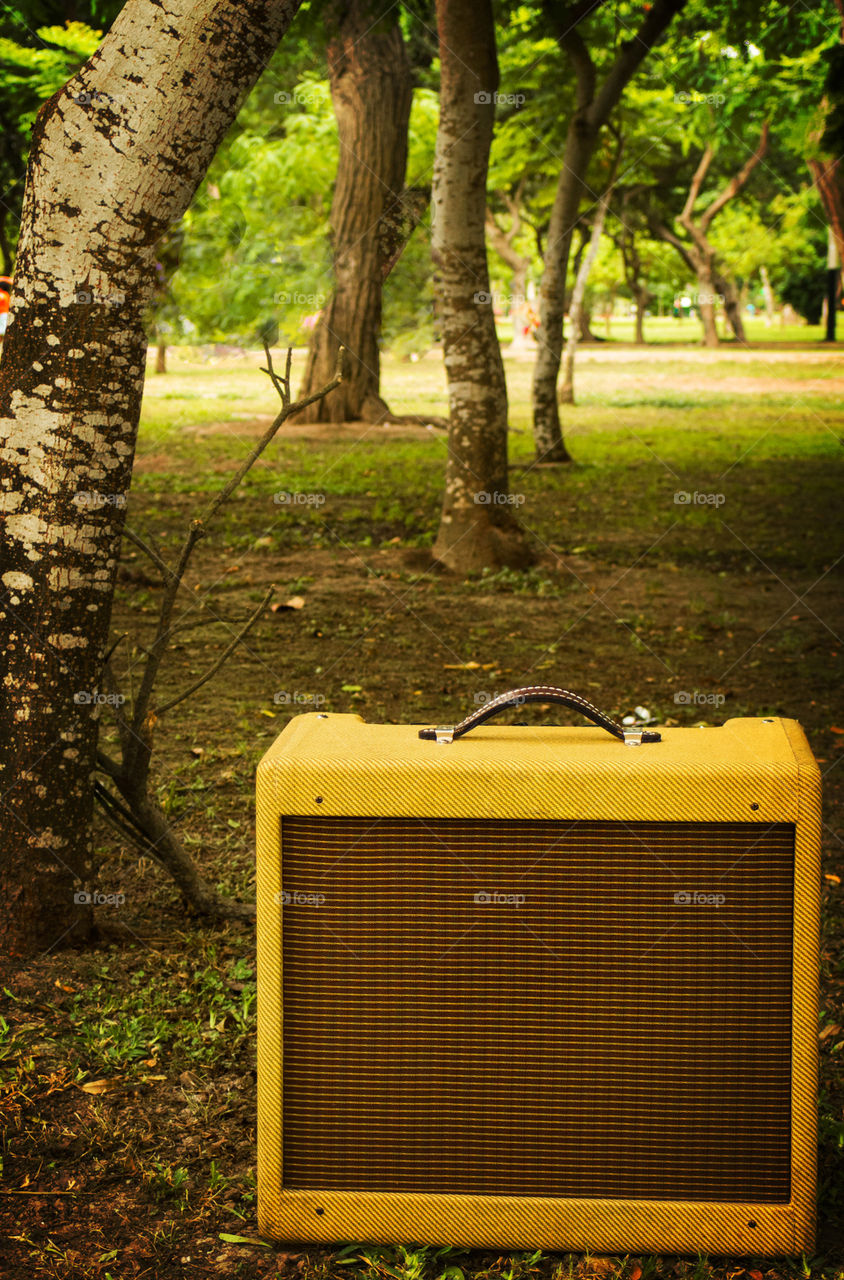 An amp in the park