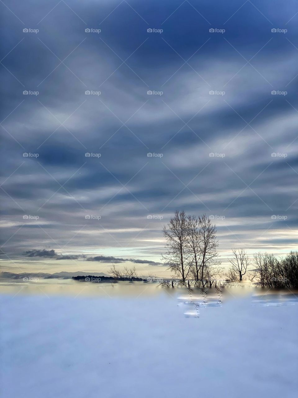 Winter landscape